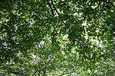 泡泡龙系列新作《泡泡龙：白糖地下迷宫》11月27日发售