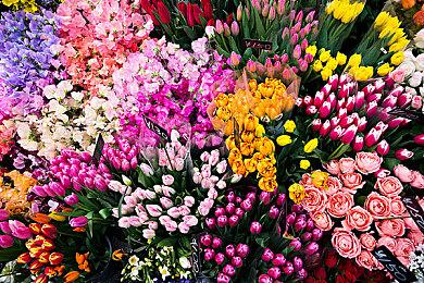 《星球大战绝地：幸存者》8种机器人细节和概念图