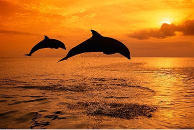 Switch《FF7核心危机 再融合》日美版容量差别大